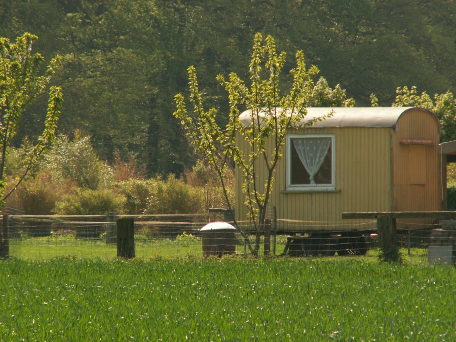 Gelbes mobiles Ferienhäuschen auf einer grünen Wiese vor Bäumen